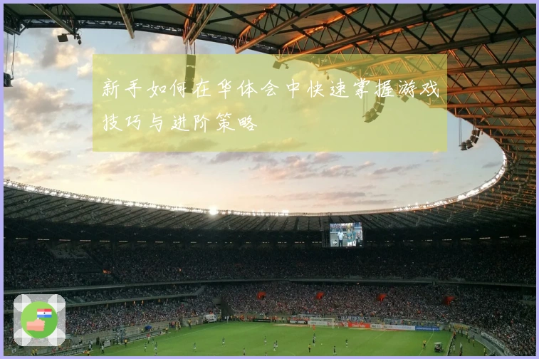 新手如何在华体会中快速掌握游戏技巧与进阶策略