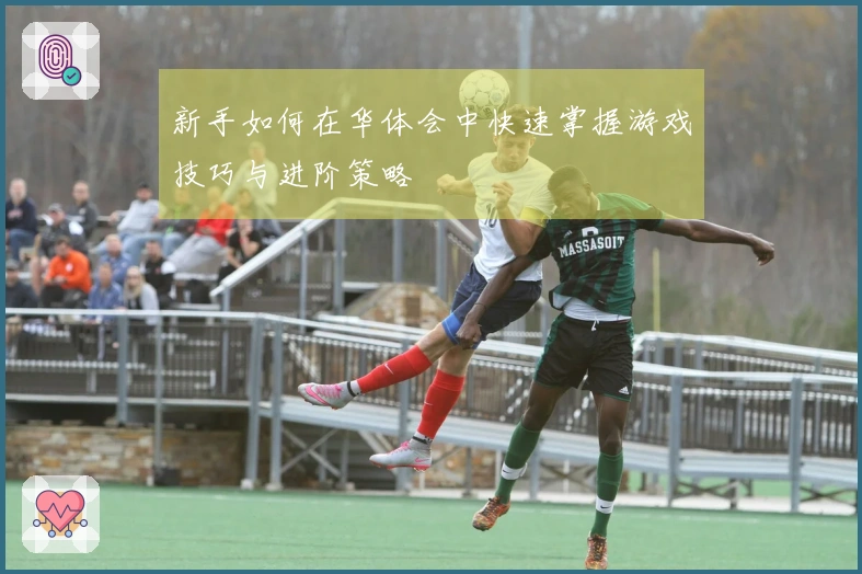 新手如何在华体会中快速掌握游戏技巧与进阶策略