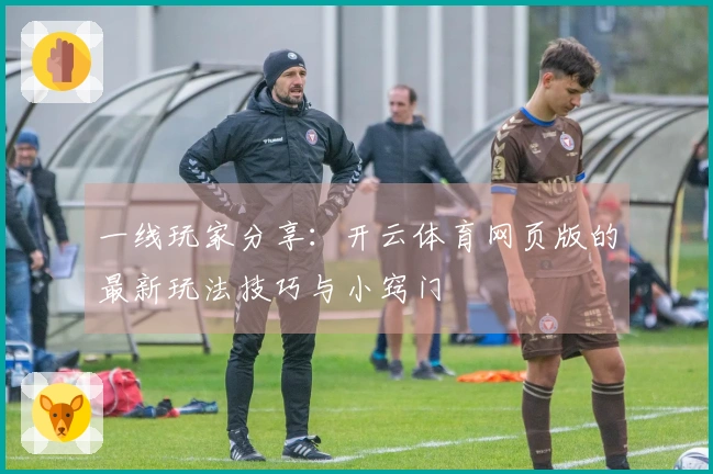 一线玩家分享：开云体育网页版的最新玩法技巧与小窍门