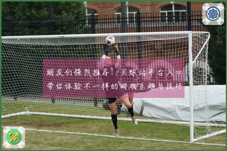 朋友们强烈推荐！买球站平台入口带你体验不一样的游戏乐趣与技巧分享