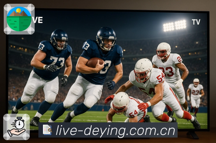 德赢体育回访加速