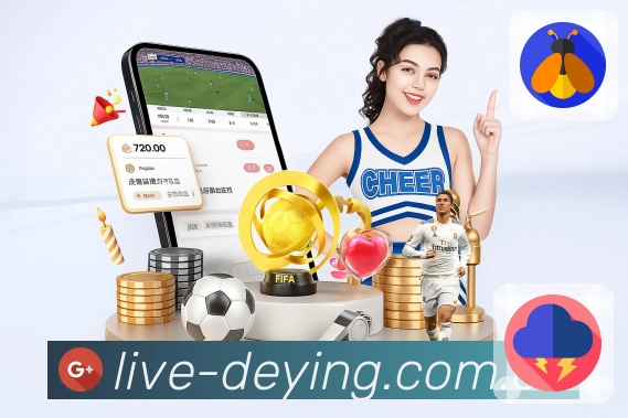 德赢体育回访服务